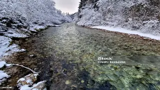 津门桑拿风情万种:细数不同类型的养生体验