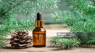 津门桑拿体验:卸下疲惫,感受身心焕新的港湾