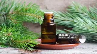 不只是洗澡!揭秘天津桑拿的隐藏玩法,你体验过几种?