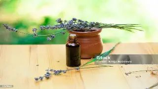 蒸汽天堂的秘密:天津特色桑拿类型大揭秘,总有一款让你身心焕发!